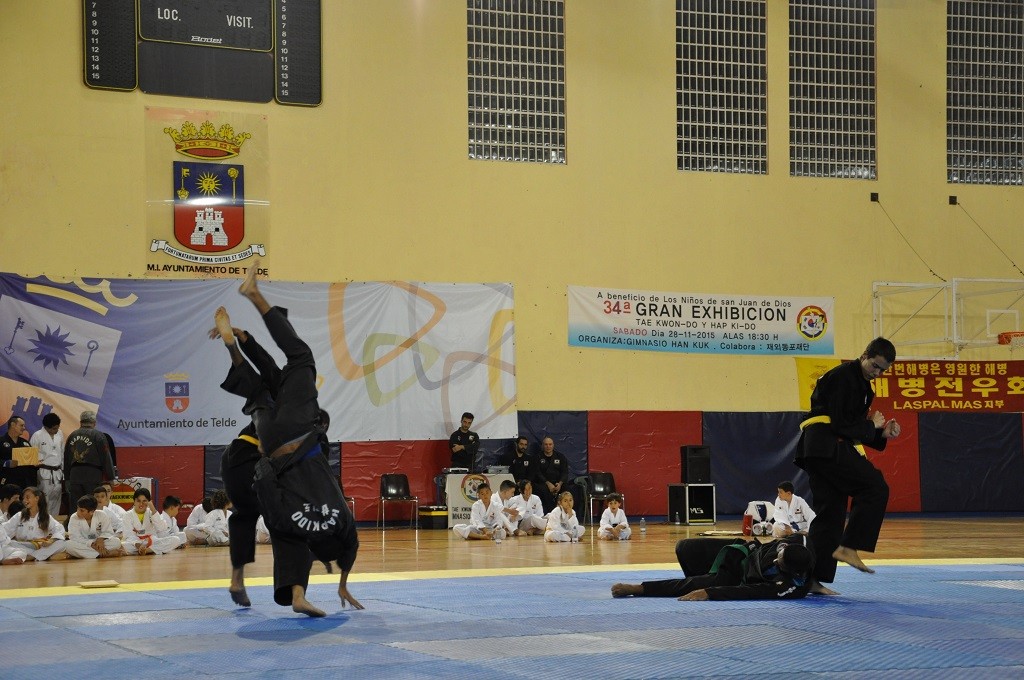 exhibiciontelde2015d